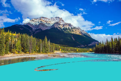7 Surprising UV Facts Every American Should Know This Summer